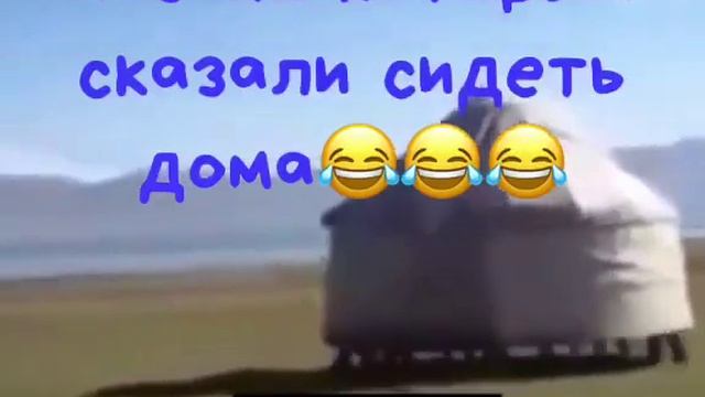 казахи которым сказали сидеть дома смотреть онлайн