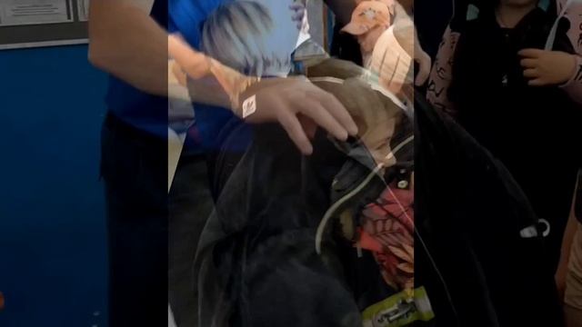 В ГОСТЯХ У ПОЖАРНЫХ смотреть онлайн