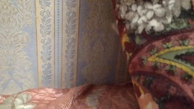 Котик белый  родился 30 августа 2023 года