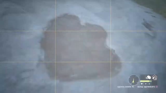 Сфотографировать Следы Динозавра, The Hunter Call of the Wild,Серебряные вершины смотреть онлайн