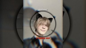 ?дипинс-я суперкот!|| песня дипинса?