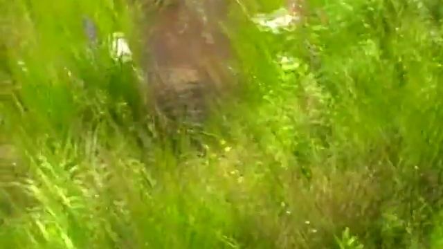 Фундамент Семыкина 4 смотреть онлайн