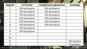 КУРС ДЛЯ МАССЫ. НАНДРОЛОН ДЕКАНОАТ (ДЕКА) + СУСТАНОН