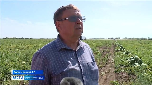 Соль-Илецк Арбузная столица России.