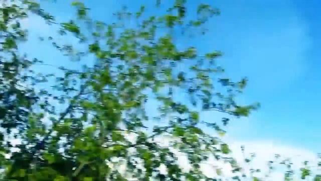 ОТМЕЧАЕМ ВЫПУСКНОЙ, ПОКАТУЛЬКИ НА КАРУСЕЛЯХ И ЗАБАВНЫЙ КЛОУН! смотреть онлайн