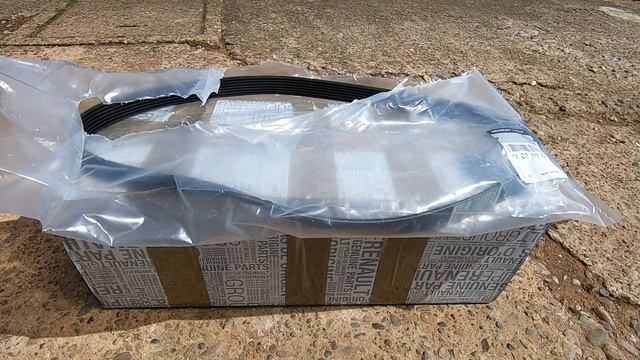 Renault Sport Megane R26 - Auxiliary Belt & Tensioner Replacement.