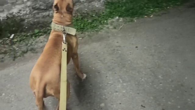 Как Сделать с Вдохновением