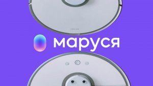 Можно ли запустить Xiaomi робота пылесоса помощью Маруси с ПК ?