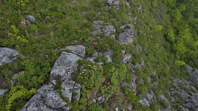 Приморский край хребет Чандолаз 11 июня 2022 смотреть онлайн