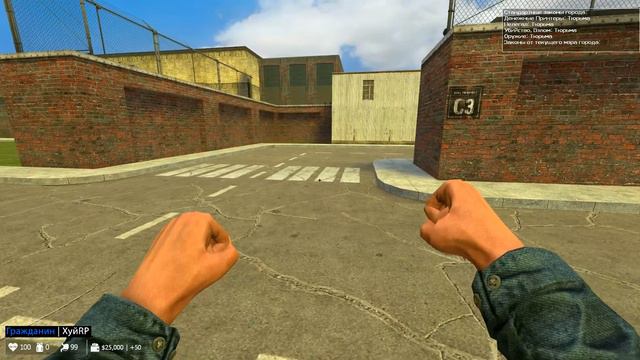 Как играть в DarkRP ? смотреть онлайн
