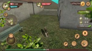 СИМУЛЯТОР СОБАКИ #8 СОБАКА превратилась в ВОЛКА в Dog Sim