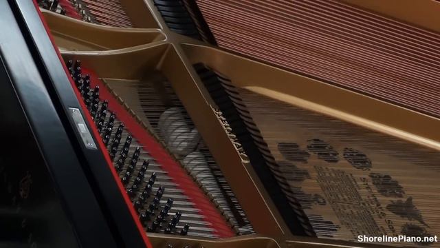 Fully Restored 1926 Steinway & Sons Model L Grand Piano - Reflections by Stephen Whale смотреть онлайн