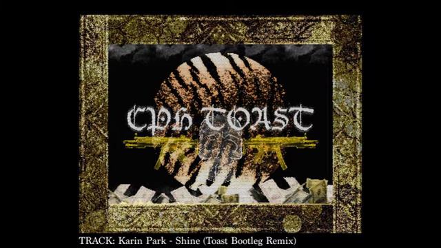 Karin Park - Shine [Toast Bootleg Remix] смотреть онлайн