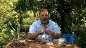 Прививка древовидных пионов на корне травянистых