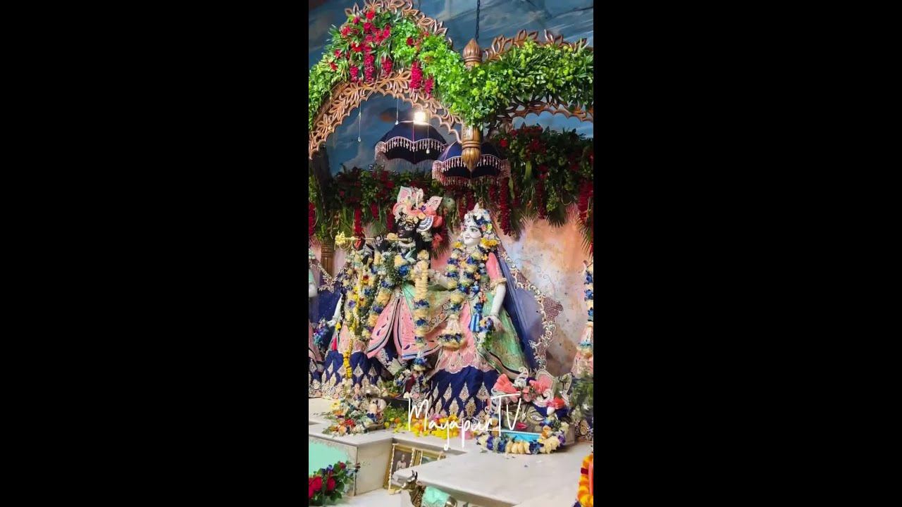 Today's Darshan Aug 27, 2024 Sri Dham Mayapur смотреть онлайн