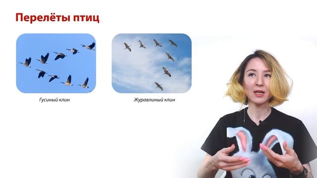 Миграции птиц | Задание 27 | ЕГЭ-2024 по биологии смотреть онлайн