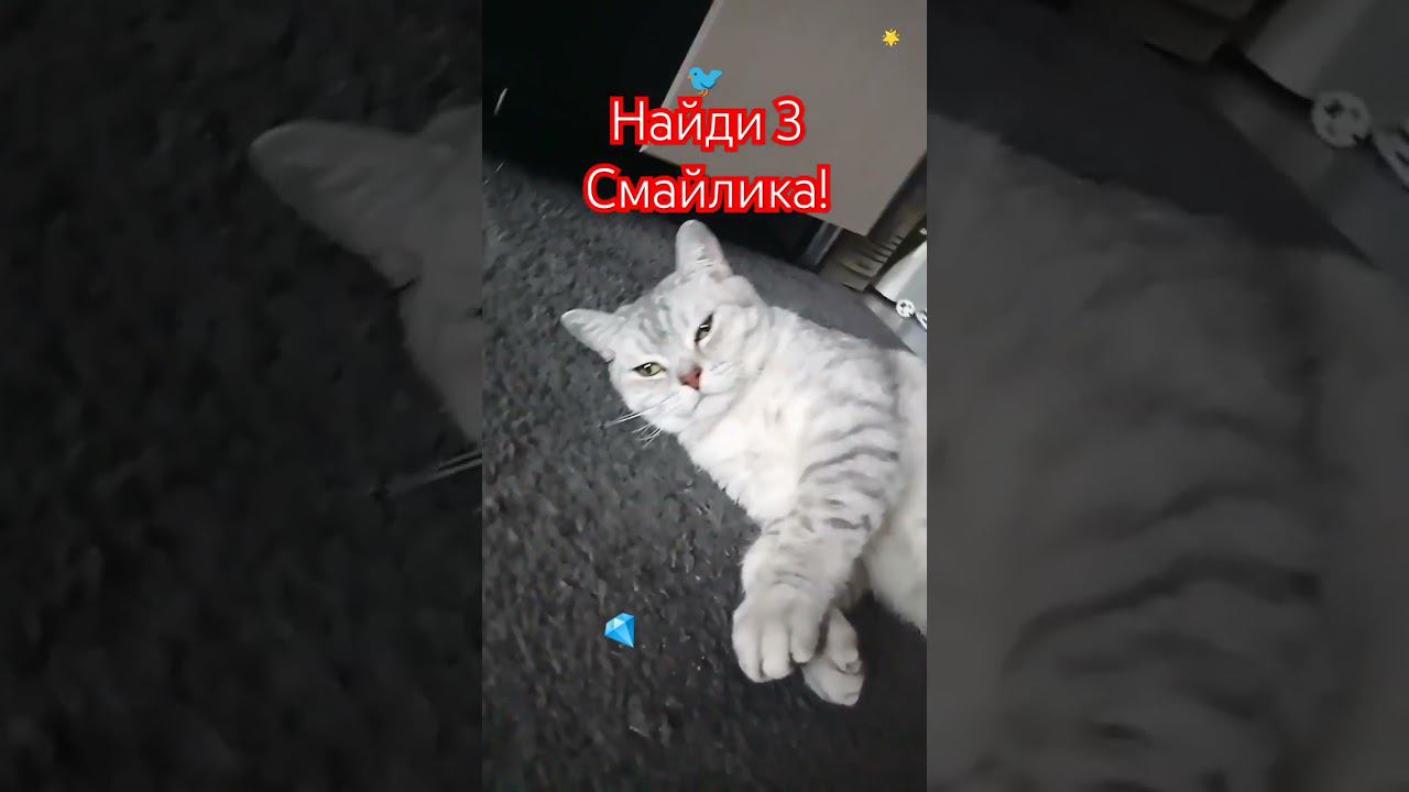 Сыграем в игру? #shorts #милота #врек #рекомендации #стрим #3к #невероятно #физика #популярность смотреть онлайн
