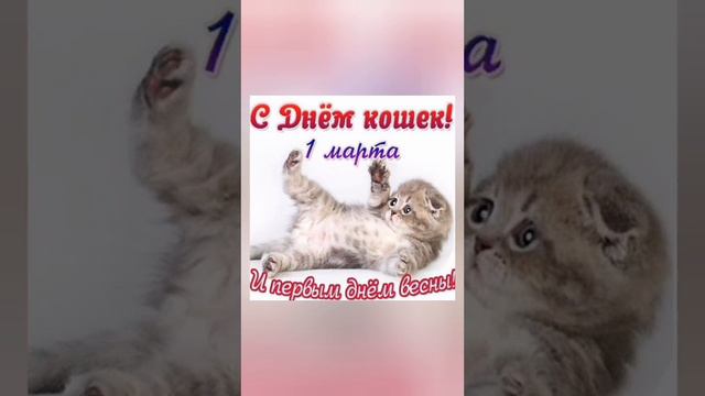 SERGEY DOLAR - ВЕСЕННИЕ ЦВЕТЫ ( ПРЕМЬЕРА ЛЕГЕНДАРНОГО ТРЕКА)