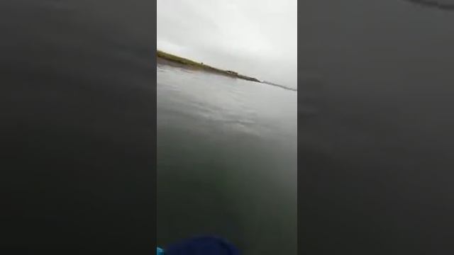 Эвакуация ... Только быстро ))).mp4 смотреть онлайн