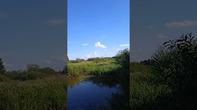 "Ой,цветет калина" Людмила Николаева смотреть онлайн
