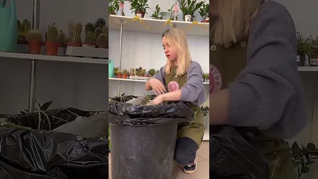 #заметкифлориста смотреть онлайн