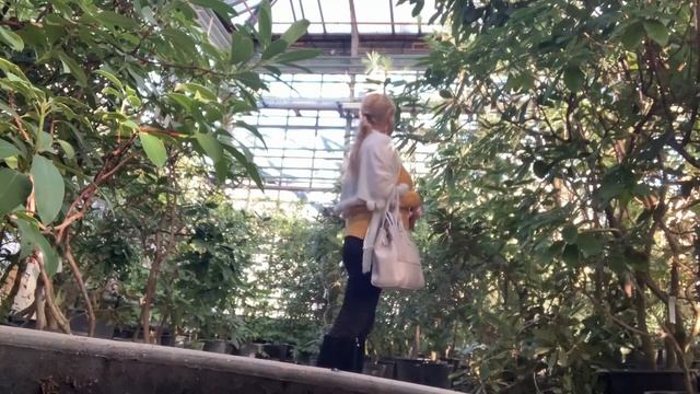 Фондовая оранжерея Главного ботанического сада им. Н. В. Цицина, Moscow Greenhouse смотреть онлайн