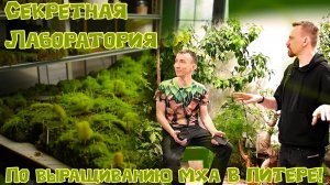 Выращивание болот в центре Питера!