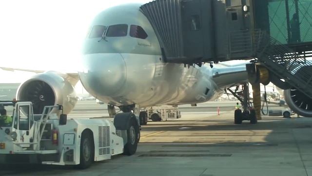 Doha-airport смотреть онлайн