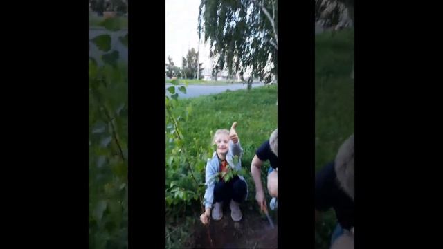 Акция "Подари 10 миллионов деревьев" смотреть онлайн