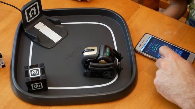 Anki Vector The Robot Wakes Up - First Look