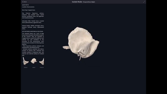 Freestyling with Complete Anatomy with Dr. Alice Roberts смотреть онлайн