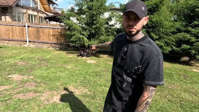 ВОСЕМЬ собак ПЛЮС один ПИТБУЛЬ смотреть онлайн