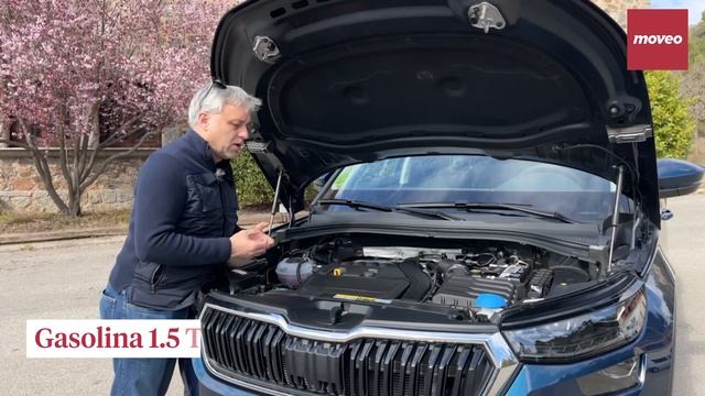 A Prueba: Skoda Kodiaq 1.5 TSI DSG смотреть онлайн