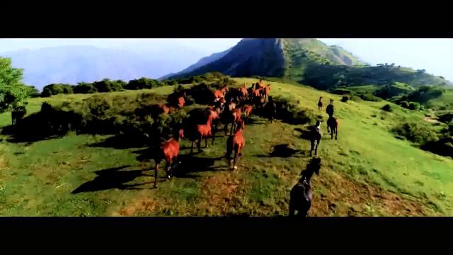 Амрохон Рахимов - Рахши Сафед | Amrokhon Rahimov - Rakhshi Safed