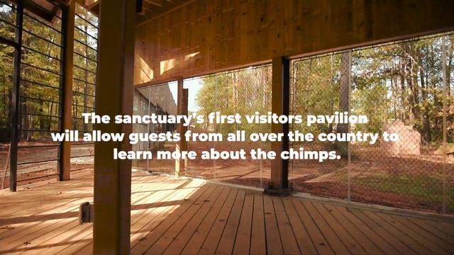 Welcome Home: A Labor of Love for the Chimps is Complete смотреть онлайн