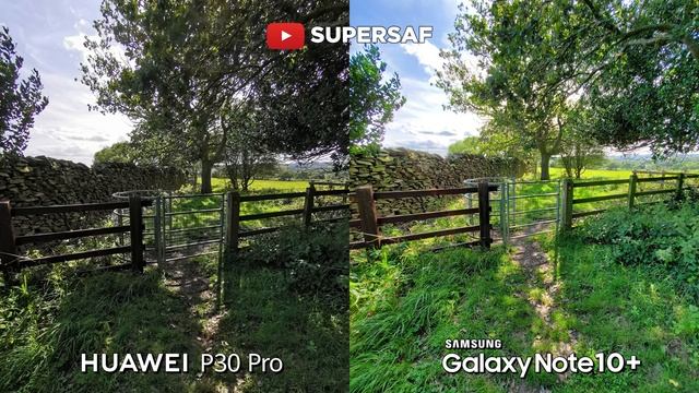 Galaxy Note 10 Plus Vs Huawei P30 Pro Camera Test Comparison