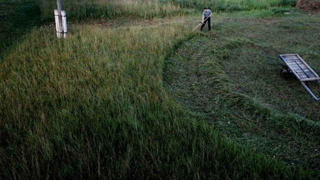 Косьба или как косить косой литовкой смотреть онлайн