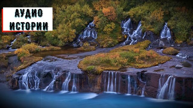 Возвращаясь домой по парку, Аня увидела дрожащего мальчонку, который истошно звал маму... смотреть онлайн