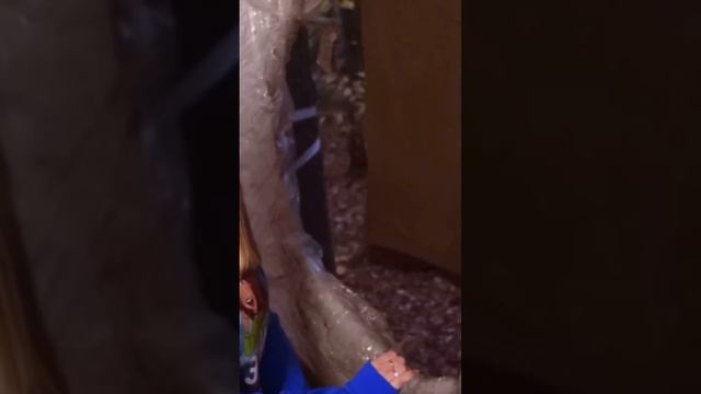 #рек #ellidi Elli Di(девочка Оля пропала🤯👀где она? смотреть онлайн