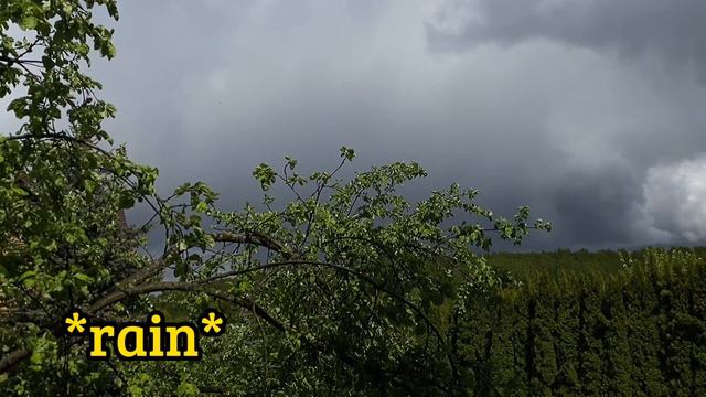 Vlog 3 / Не поел шаурмы - не сдал ЕГЭ по русскому ауф☝🏻 смотреть онлайн