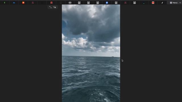 TIKTOK DOWNLOAD WITHOUT WATERMARK API DEMO смотреть онлайн