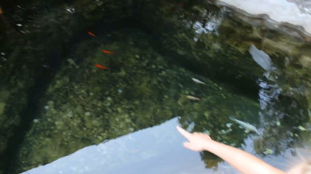 😻😻Поля и Даша на станции юных натуралистов в Измаиле смотреть онлайн