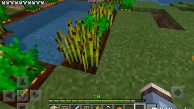 Это мой день! Нужна овца в Minecraft PE смотреть онлайн