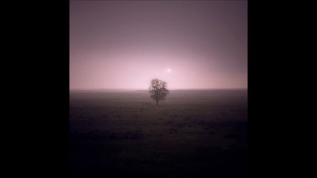William Orbit - You Know Too Much About Flying Saucers смотреть онлайн