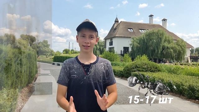 Объявления О ПРОДАЖЕ МУРАВЬЕВ, ВИДА[ Messor structor ] | -DISCOT FUN- смотреть онлайн