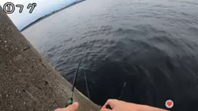 これは・・猿のエーペックスやな？【Apewar】同時上映【Ke-Tsu-No-Ana】(2023/07/04) смотреть онлайн