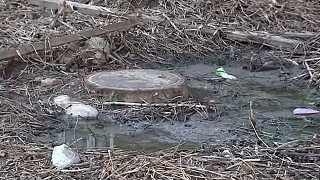 В Ярославле разрушается жилой памятник архитектуры смотреть онлайн