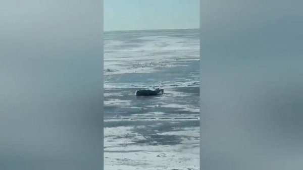 Приколы 2024 Лучшее ,18+