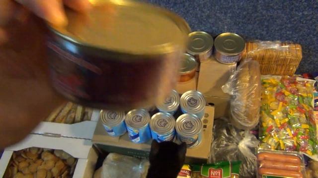 Выживаем дома, закупка на 5000 руб и игровая комната. КАРАНТИН!_0001 смотреть онлайн