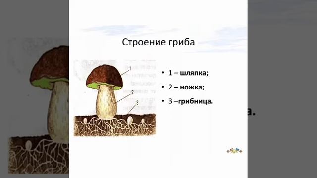 Интегрированное занятие. смотреть онлайн
